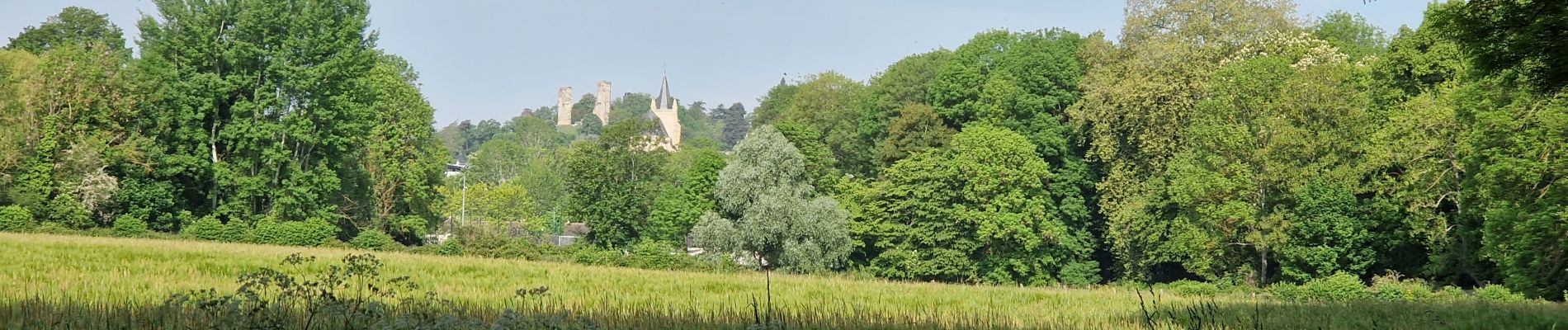 Trail Walking Montfort-l'Amaury - Yvelines_[Rando_Journée]_Montfort=>Les Mesnuls=>Autour_de_Montfort - Tronçon 1 - Photo