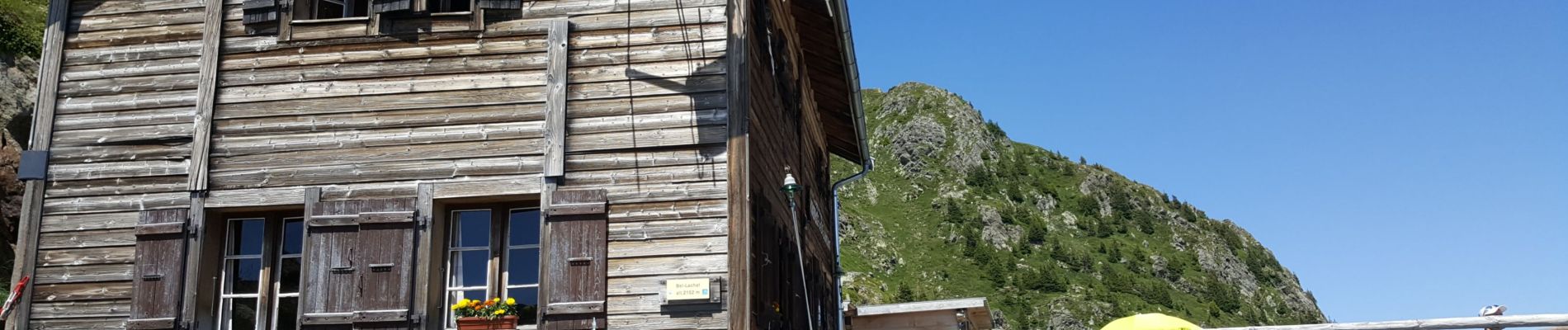 Tour Schlittenhunde Chamonix-Mont-Blanc - chx plan praz. brevet. bellachat. chx - Photo