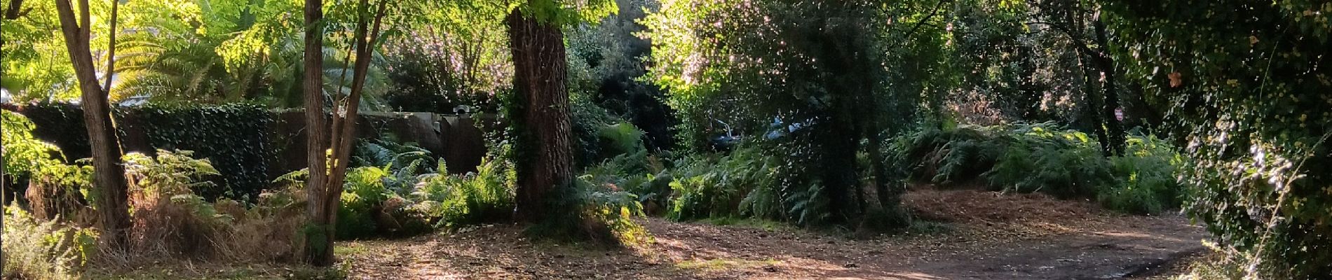 Tour Wandern Rivedoux-Plage - Île de Ré Bois fleuri et mer - Photo