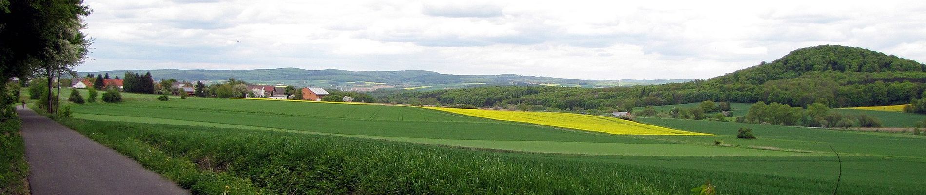 Excursión A pie Gudensberg - Josef-Merten-Weg - Photo