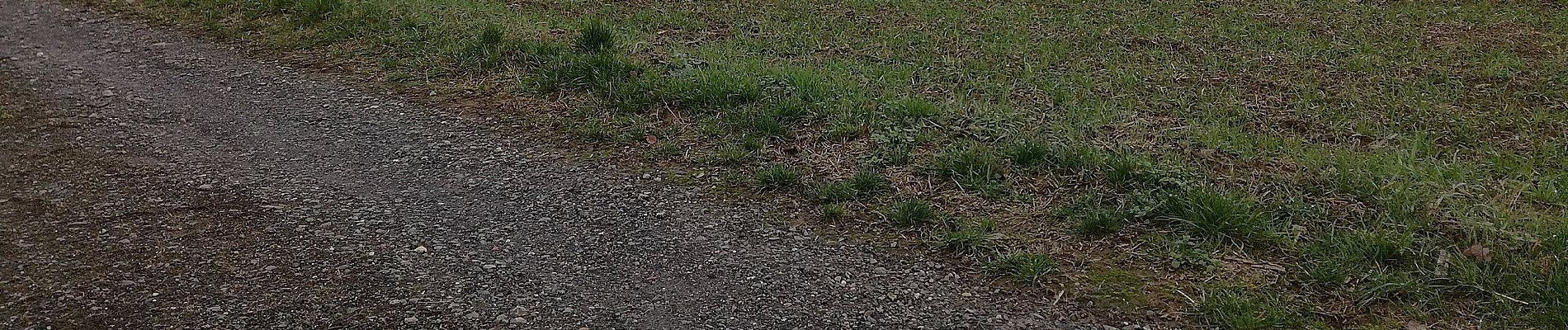 Tour Zu Fuß Osterburken - Rundwanderweg Barnholz 2: Bofsheimer-Weg - Photo