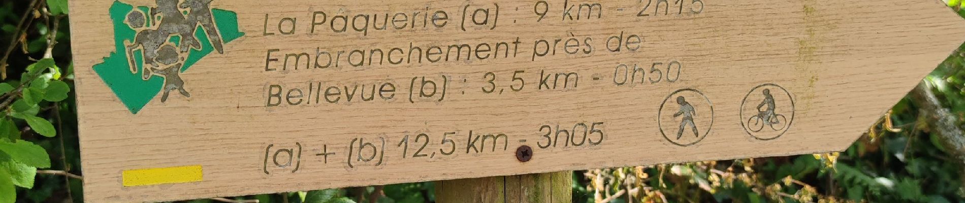 Trail Walking Lignières-Orgères - Les moulins La pâquerie - Photo