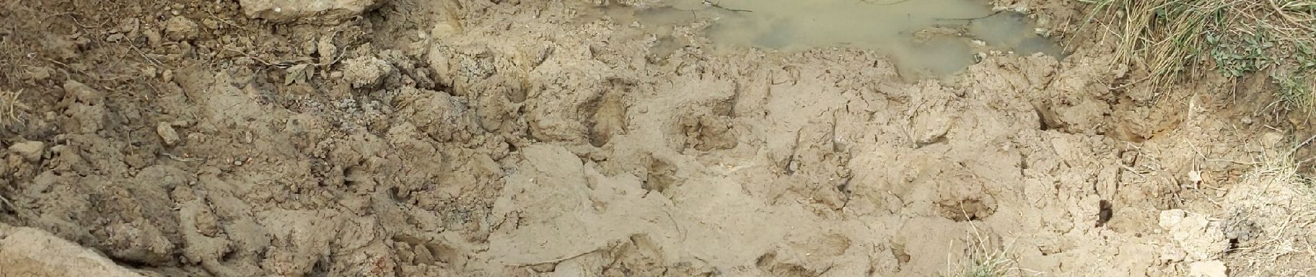 Randonnée Marche Le Revest-les-Eaux - La grotte des sables - Photo