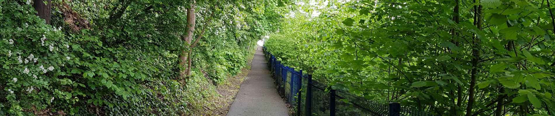 Tocht Stappen Luik - Rocourt - Grâce-Hollogne - Rocourt  - Photo