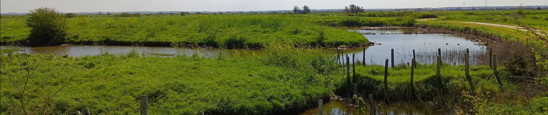 Tocht Stappen Marennes-Hiers-Brouage - 17  Marennes canal et marais  5km - Photo