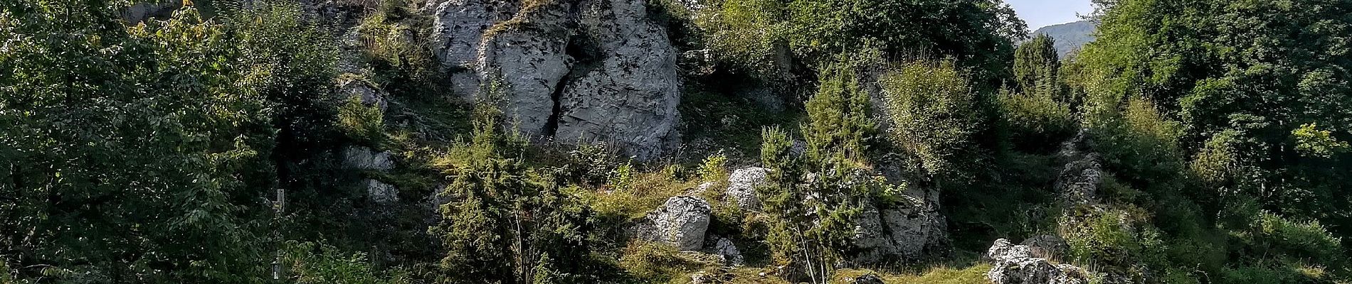 Randonnée A pied Berkatal - Rundweg Großer Marstein und Hielöcher - Photo