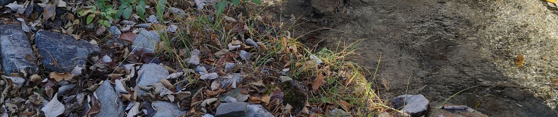 Tocht Noords wandelen Arbaz - les Evouettes et retour  - Photo