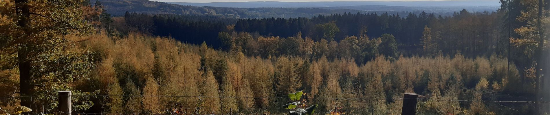 Tour Wandern Bleiberg - Trois  borne - Photo