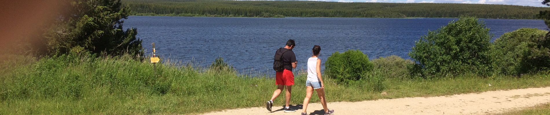 Tocht Stappen Le Born - Lac de Charpal - Photo