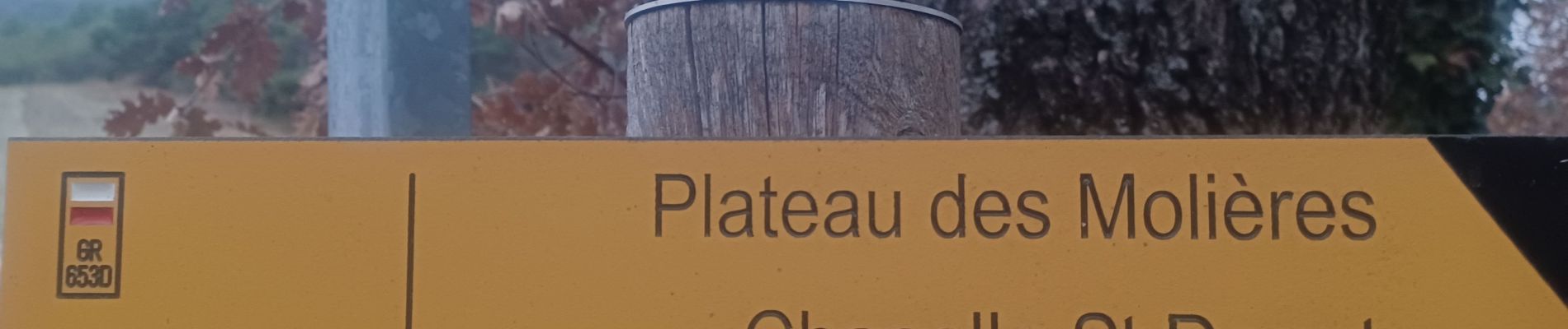 Tour Wandern Peyruis - PEYRUIS . PLATEAU DES MOLIERES . CHAPELLE S DONNAT . O L - Photo