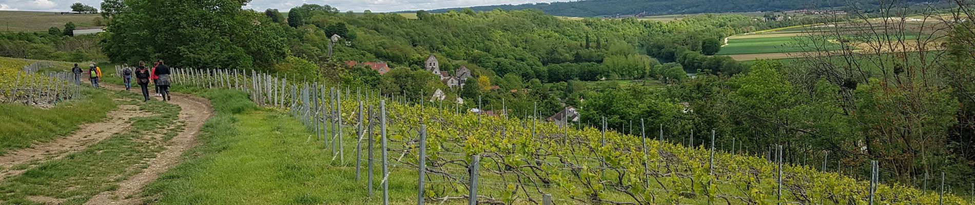 Tocht Stappen Crouttes-sur-Marne - Crouttes du 23/05/2021 - Photo