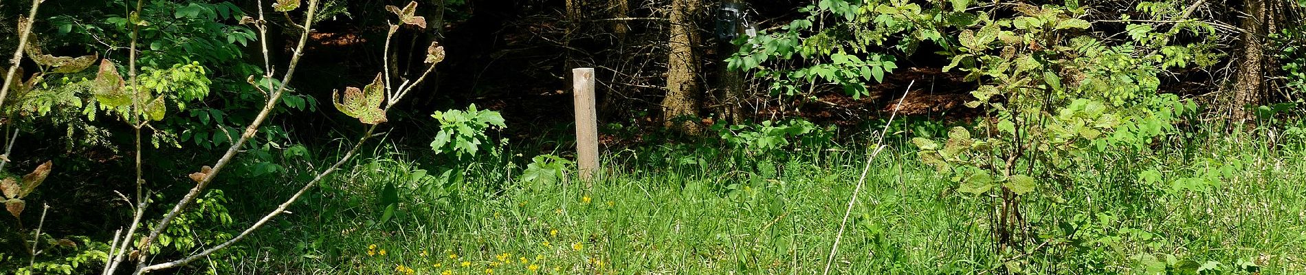 Tour Zu Fuß Unbekannt - Ammerbach-Vollradisroda-Großschwabhausen - Photo