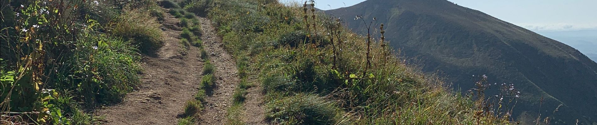 Tour Wandern Chastreix - Fifi/zot sancy - Photo