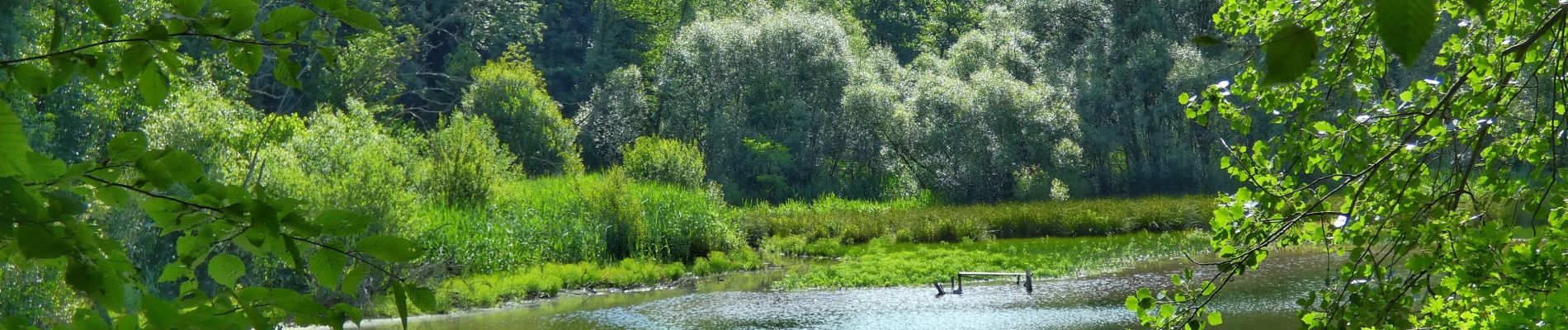 Tour Wandern Thuin - La Promenade du Bois du Prince - Abbaye d'Aulne - Photo