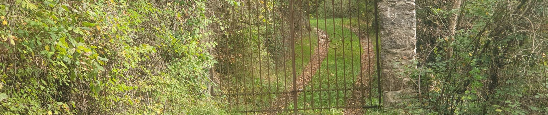 Tour Wandern Cornus - cornus et Sorgues in live - Photo