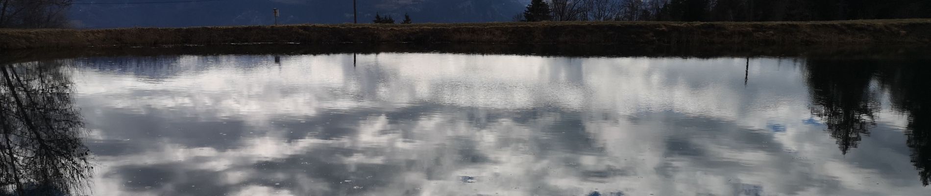 Tocht Stappen Arbaz - étang de Lombardon - Photo