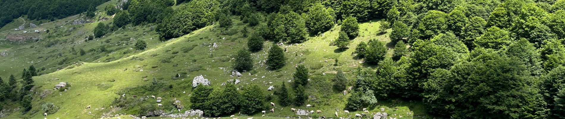 Percorso Marcia Laruns - Fait - Photo