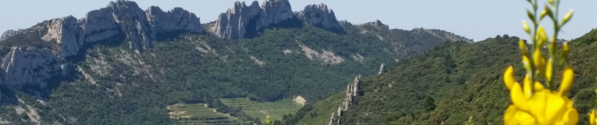 Randonnée V.T.T. Malaucène - bedoin j2 - Photo