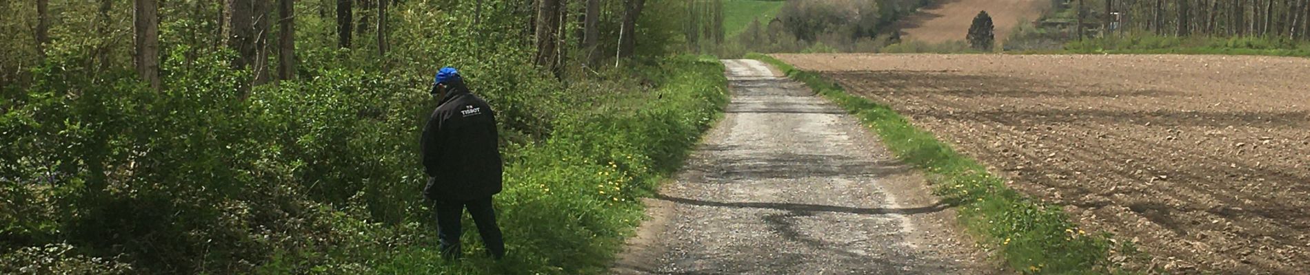 Tocht Stappen Gerpinnes - Autour de Gerpinnes - Photo