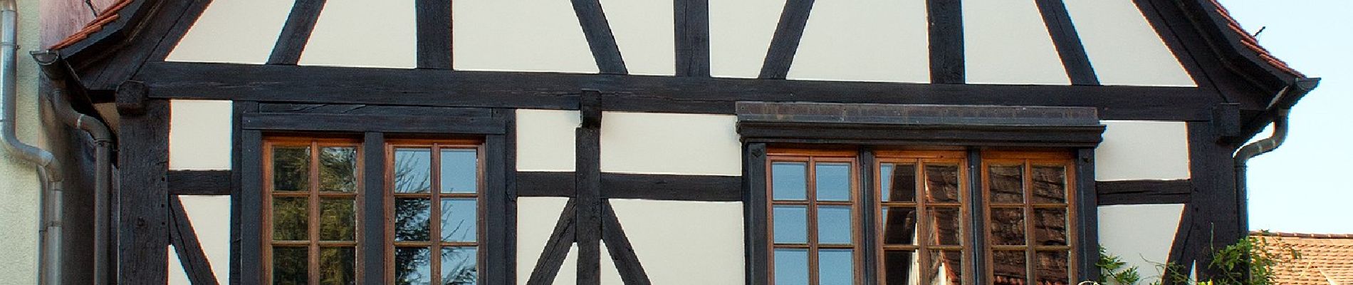 Tour Zu Fuß Weinheim - Rundwanderweg Am Bischof 5: Geiersberg-Weg - Photo