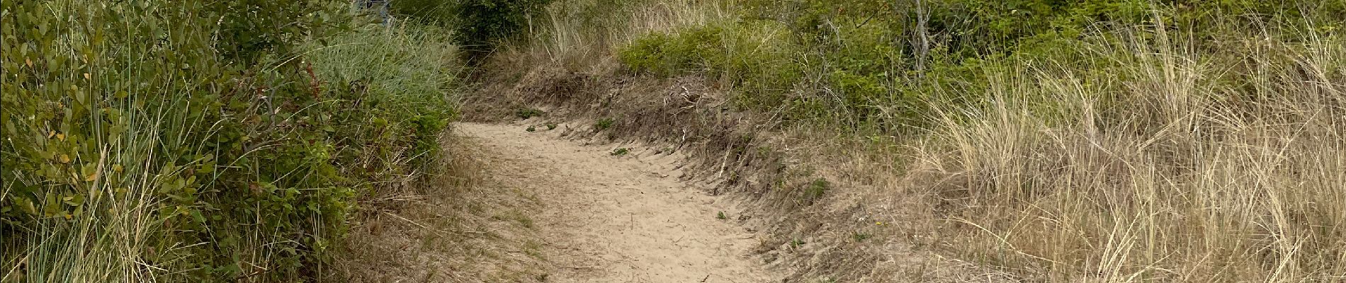 Trail Walking Condette - Dunes d’Ecault depuis le château d’Hardelot - Photo
