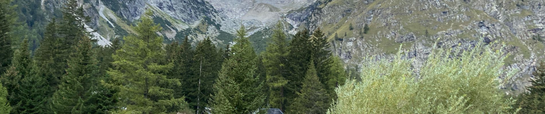 Tour Wandern Orsières - La Fouly Ferret  - Photo