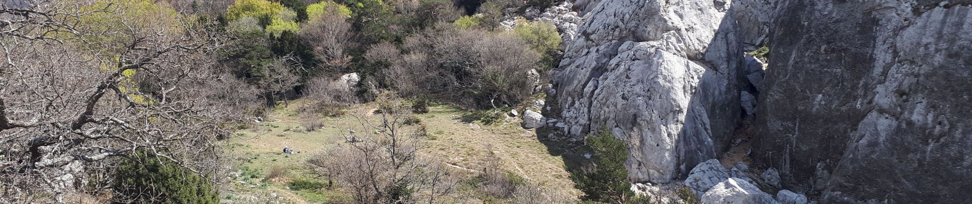 Excursión Senderismo Plan-d'Aups-Sainte-Baume - 20230418stbaume - Photo