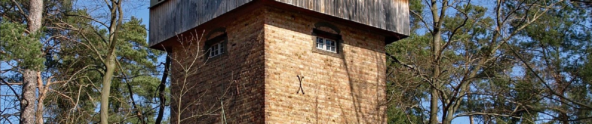 Tour Zu Fuß Schenkendöbern - Kaltenborner Berge - Photo