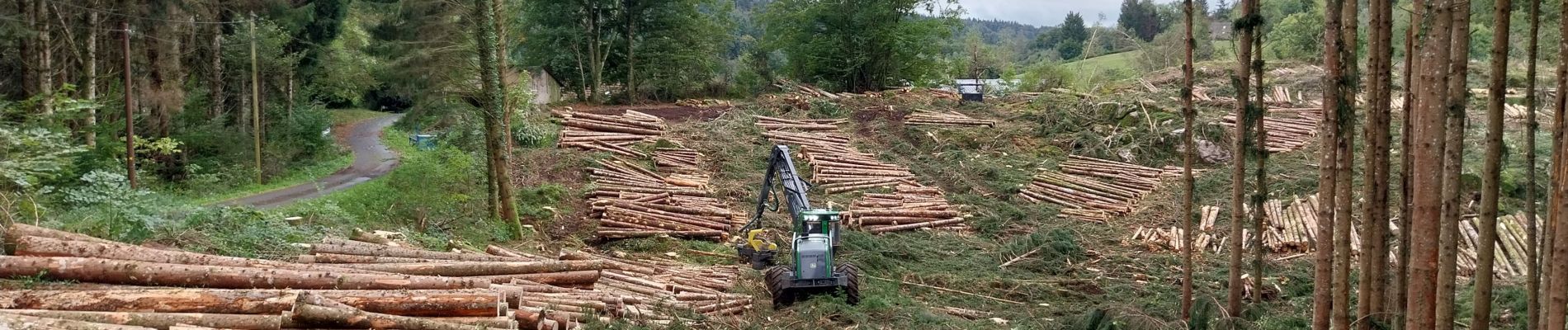 Randonnée Marche Cros - Le pont du diable, en p1rtant du gîte aux milles fleurs - Photo