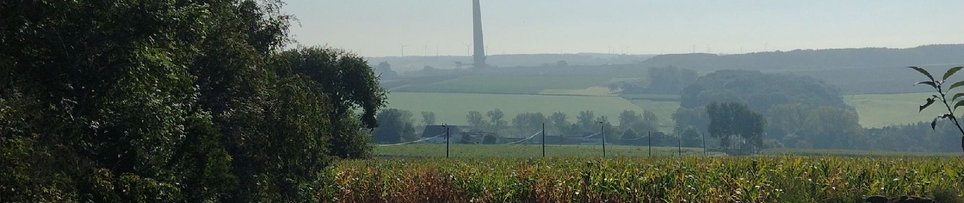 Tocht Stappen 's-Gravenbrakel - Promenade Piedescaus - Photo