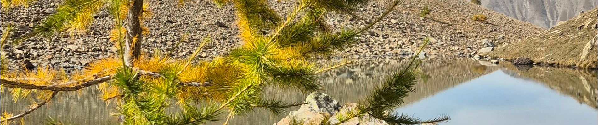 Tour Wandern Crévoux - 2024-10-14 Lac du Crachet - Photo