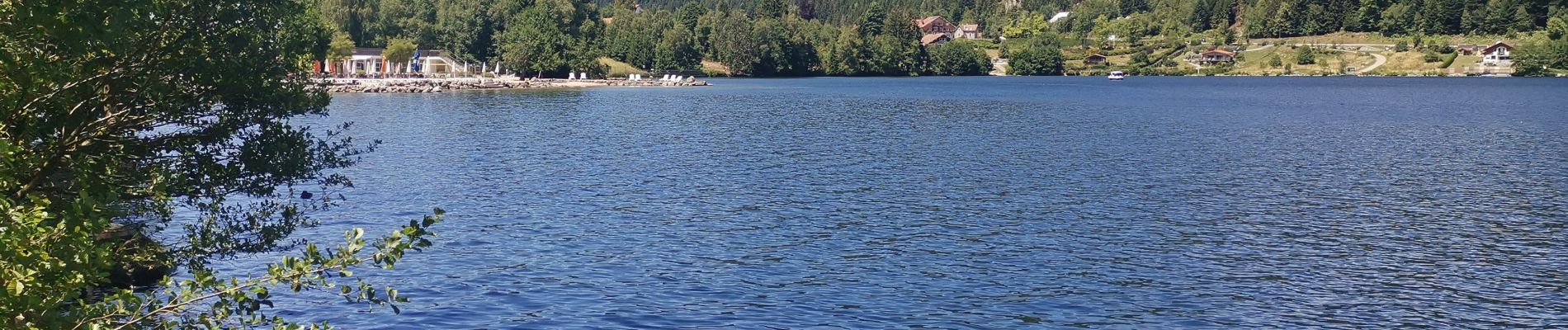 Randonnée Marche Gérardmer - GERARDMER ... le Saut de la Bourrique.  - Photo