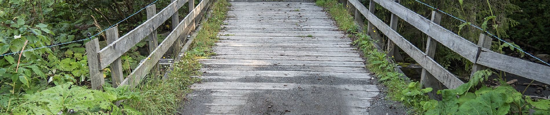 Percorso A piedi Mels - Walabütz Untersäss-Vorsiez - Photo