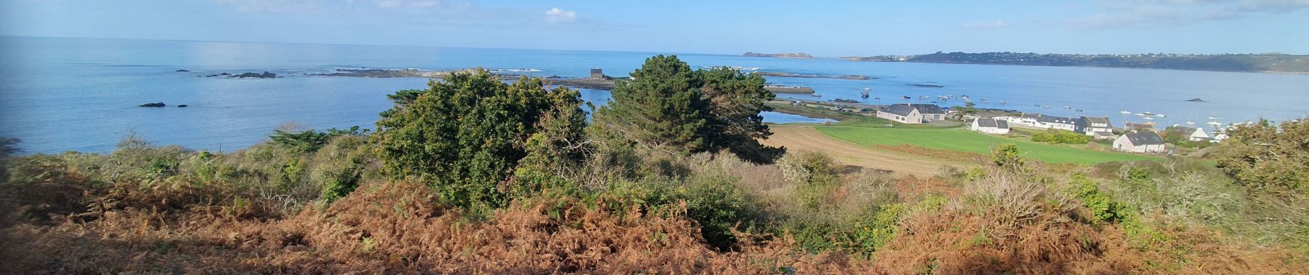 Tour Wandern Trédrez-Locquémeau - Locquémeau 22 - Photo