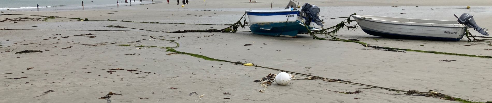 Tocht Stappen Penmarc'h - Penmarc’h - Photo