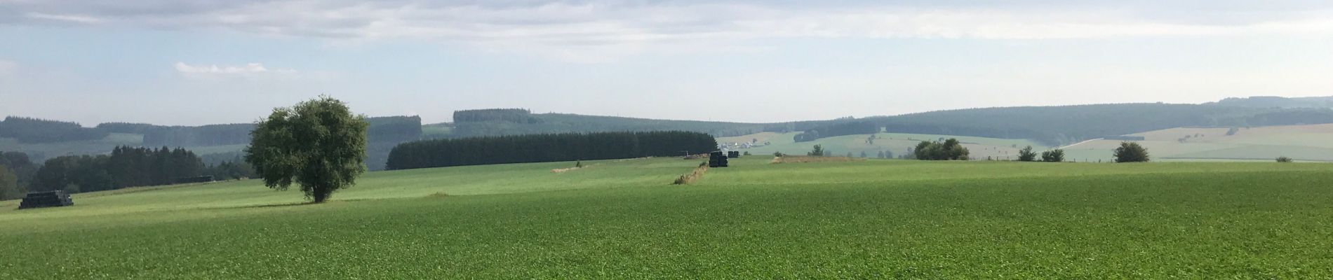 Tocht Stappen Sainte-Ode - Lavacherie 16.08.2020 - Photo