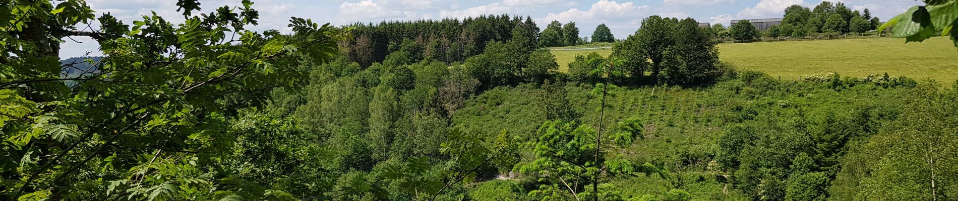 Randonnée Marche Houffalize - achouffe - Photo