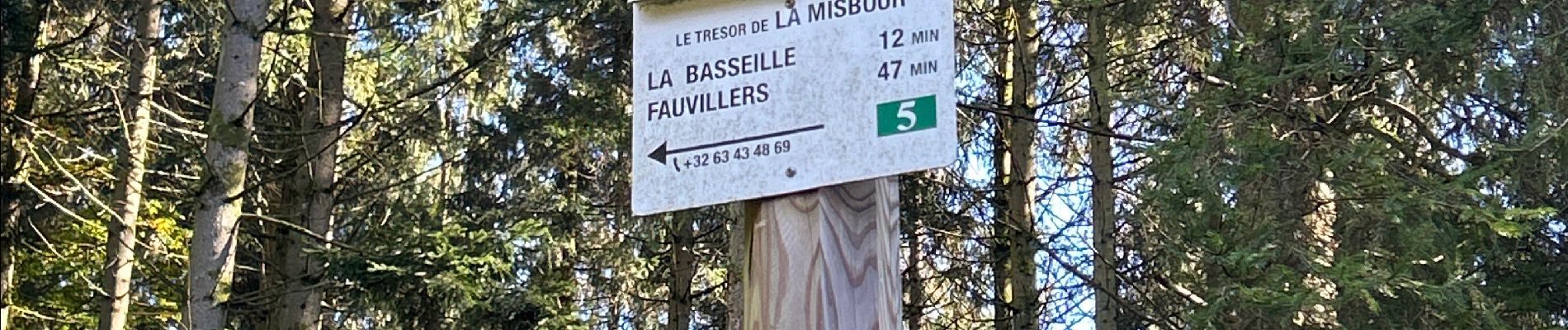 Tocht  Fauvillers - Les trésors de la Missbour - Photo