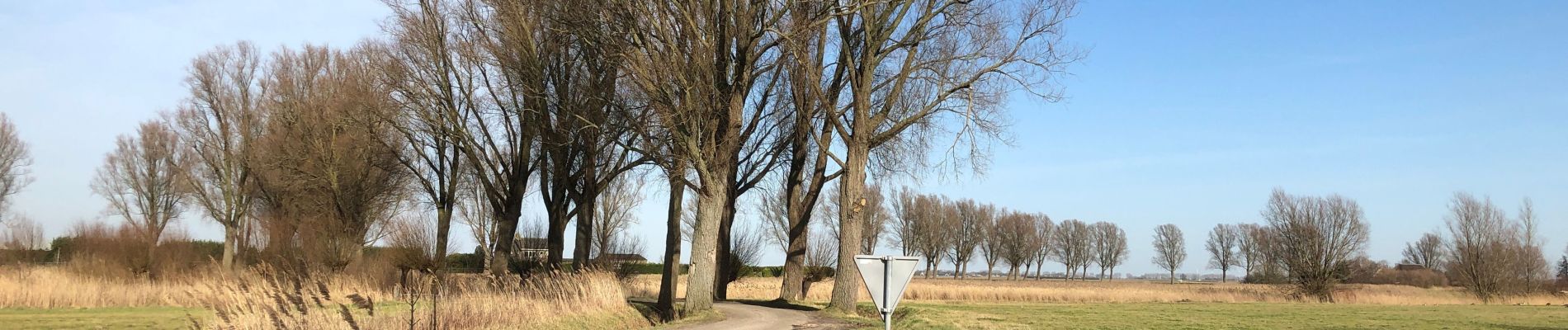 Tour Wandern Steenbergen - Nieuw Vossemeer, langs de Eendracht - Photo