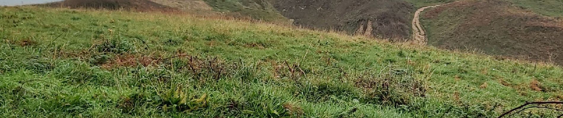 Tocht Noords wandelen La Poterie-Cap-d'Antifer - La Poterie Cap d'Antifer - Photo