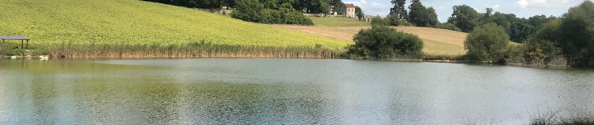 Randonnée Marche Cornille - Boucle de l étang Cornille par Pognac et Lafayardie  - Photo