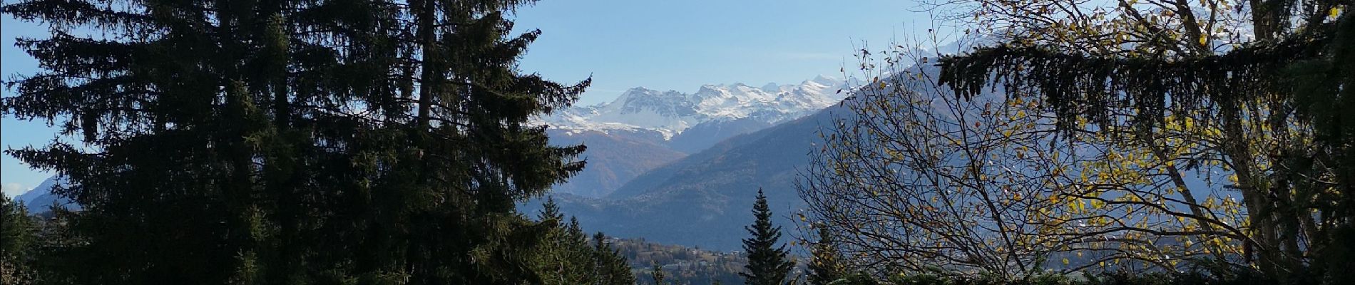 Randonnée Marche nordique Arbaz - Forniri et retour  - Photo