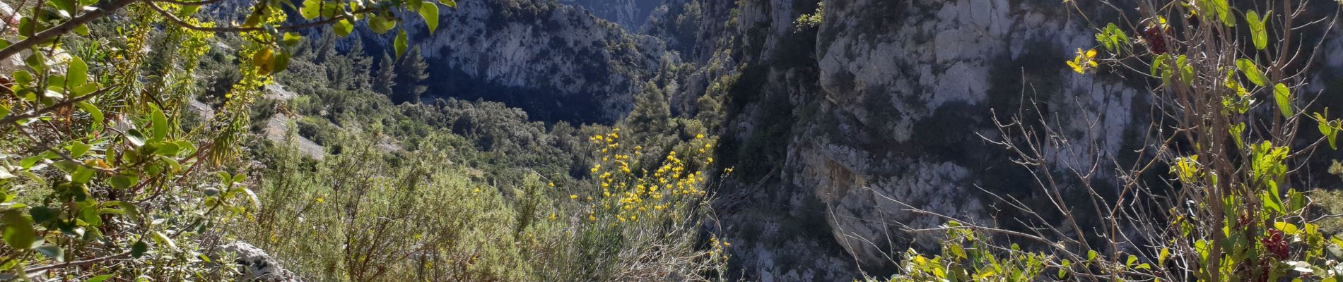 Trail Walking Évenos - Les Gorges du Destrel depuis le  Broussan - Photo