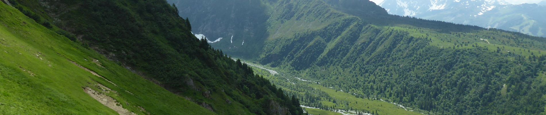 Tocht Stappen Saint-Gervais-les-Bains - F74170 Saint Gervais TMB col de Tricot MJC - Photo