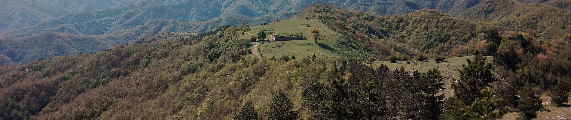 Excursión A pie Bagno di Romagna - Da Ridracoli a San Paolo in Alpe per la valle del Rio Bacine - Photo