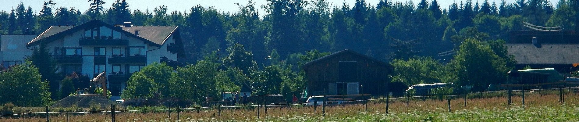 Tour Zu Fuß Pfalzgrafenweiler - Augenblickrunde Kälberbronn - Photo