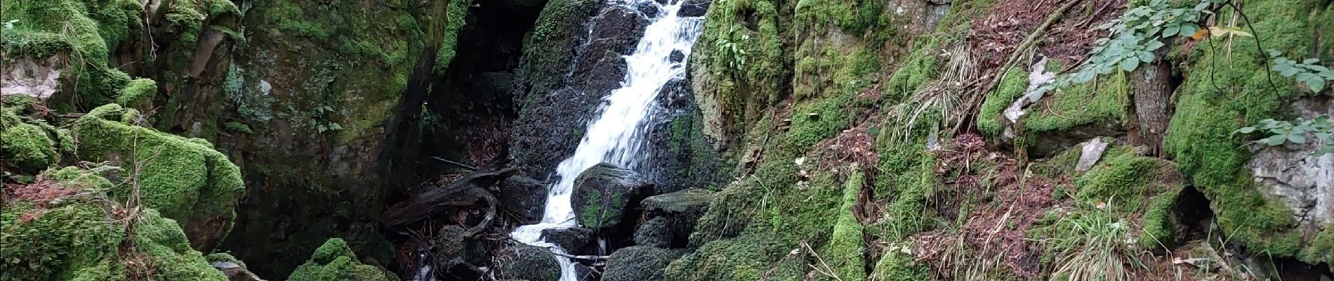 Tour Wandern Stoßweier - Gaschney - Stolz Ablass - Photo