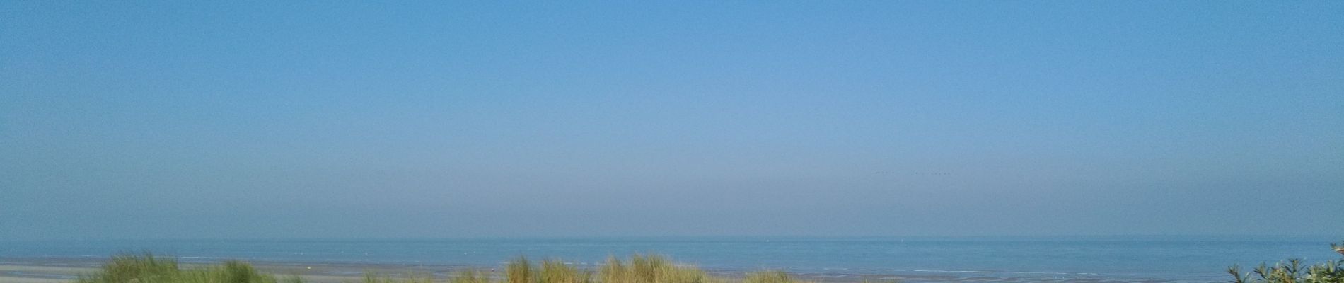 Tour Wandern Zuydcoote - la dune Marchand Zuydcoote circuit par les dunes - Photo