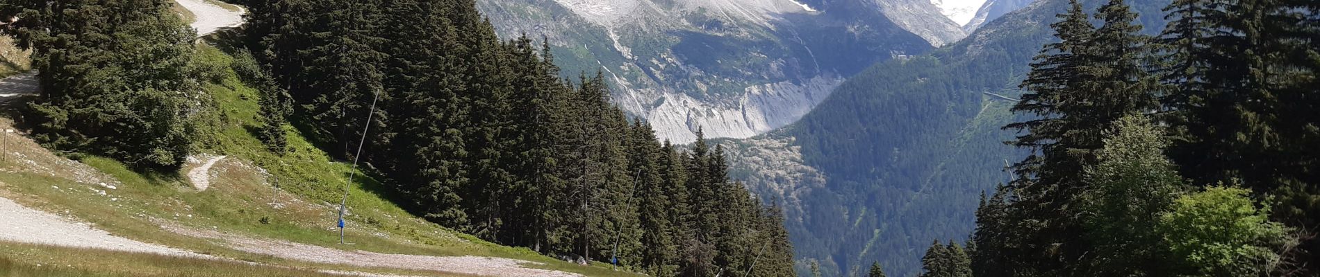 Tour Wandern Chamonix-Mont-Blanc - la flegere (2)juilket 2021 - Photo