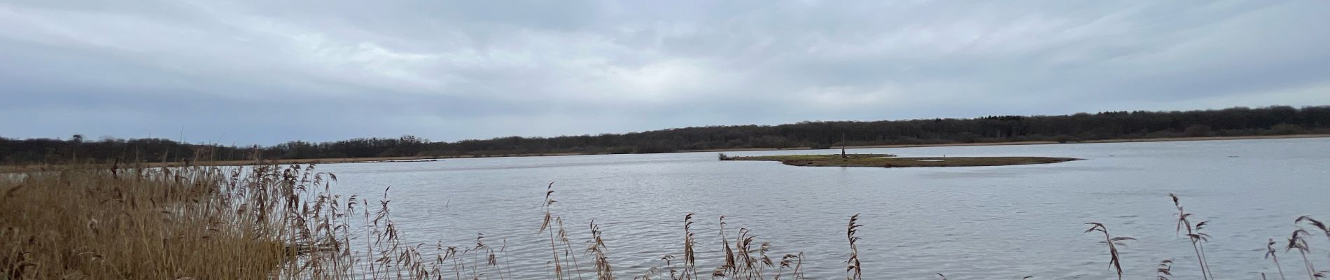 Trail Walking Chimay - Aquascope de Virelles - Photo